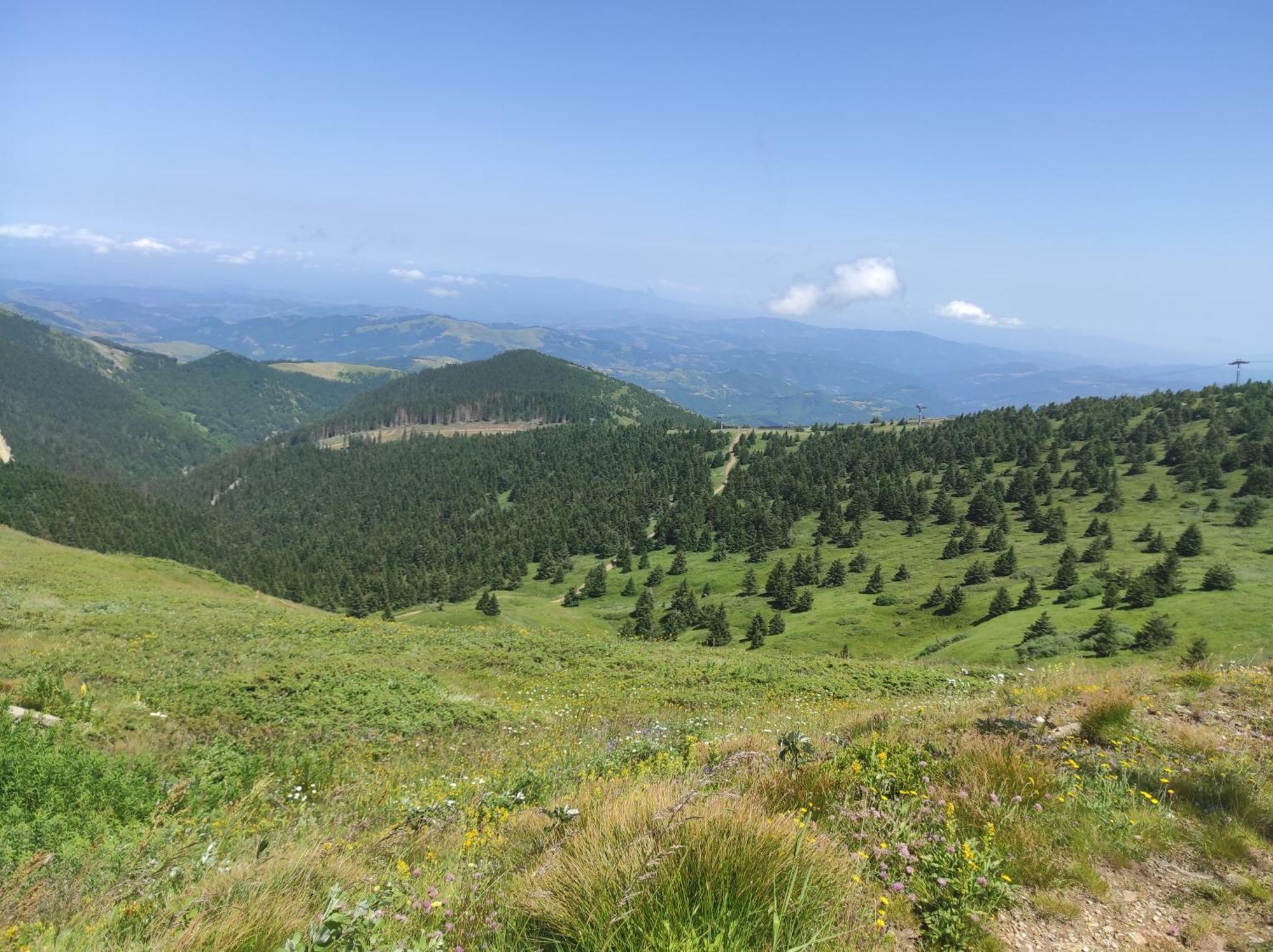 Luksuzni Dupleks Kopaonik Exteriör bild