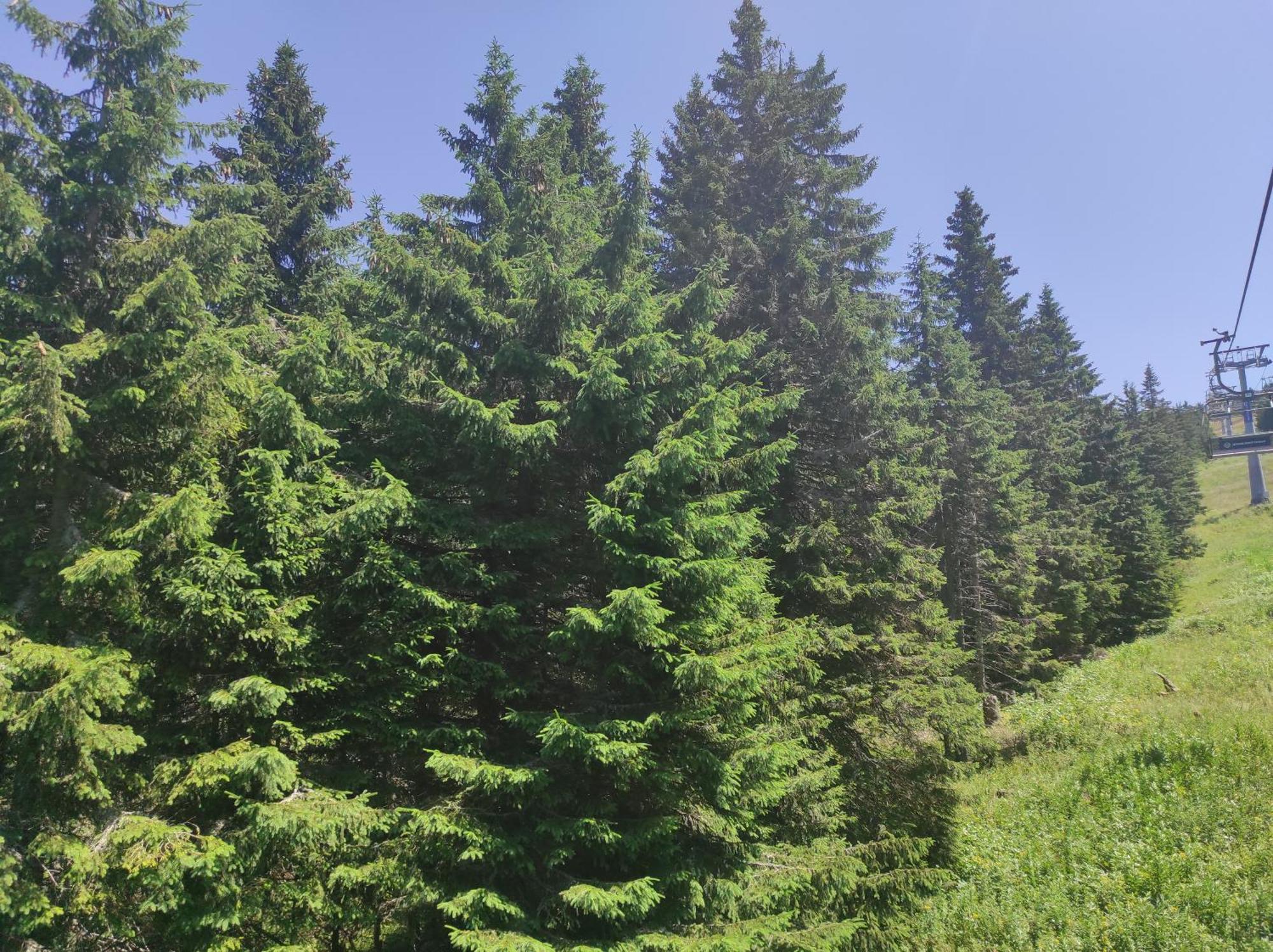 Luksuzni Dupleks Kopaonik Exteriör bild