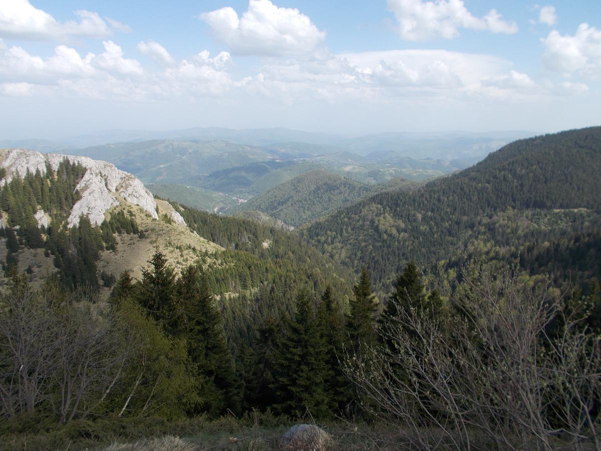 Luksuzni Dupleks Kopaonik Exteriör bild