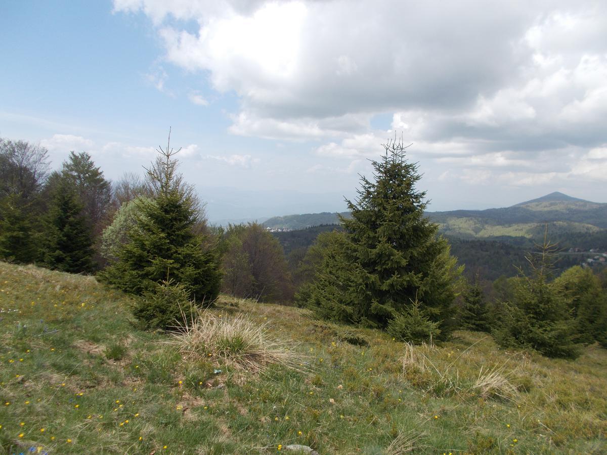 Luksuzni Dupleks Kopaonik Exteriör bild