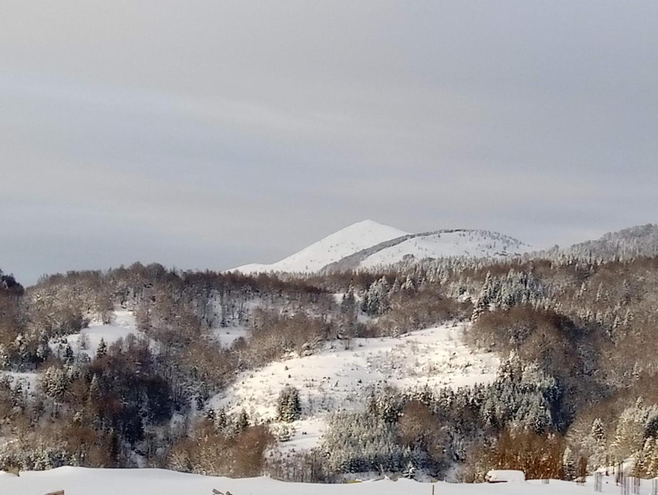 Luksuzni Dupleks Kopaonik Exteriör bild